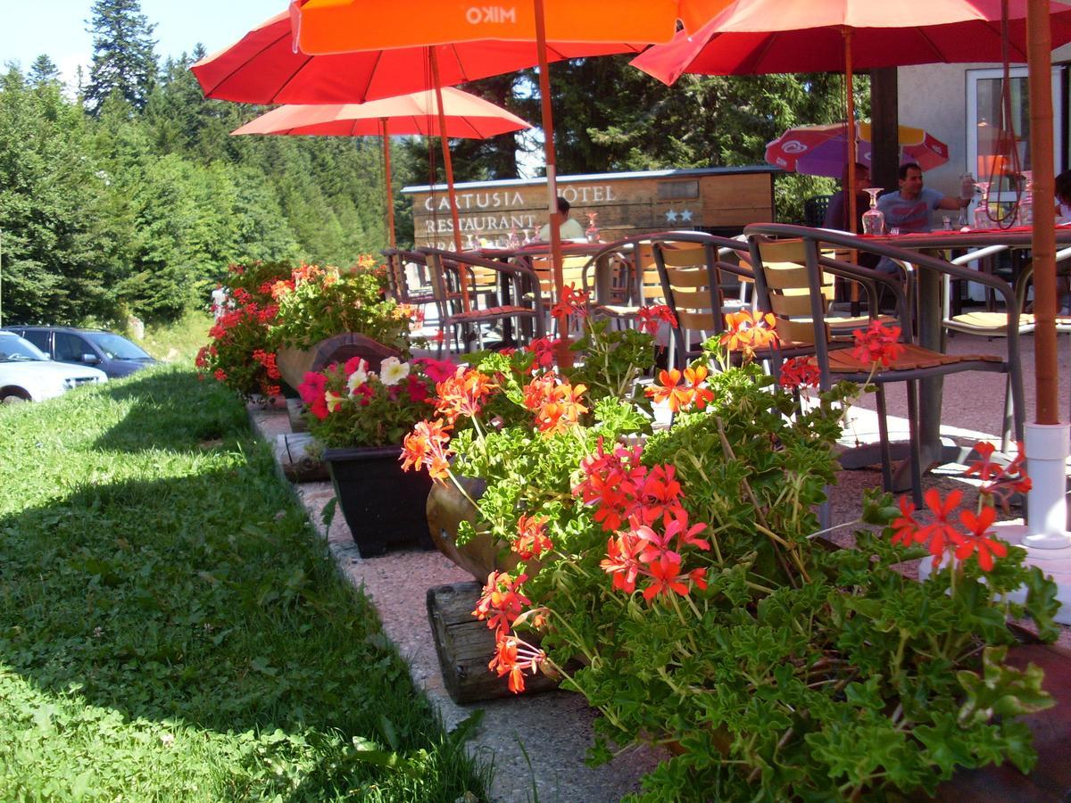 Hotel Cartusia Sarcenas Екстер'єр фото